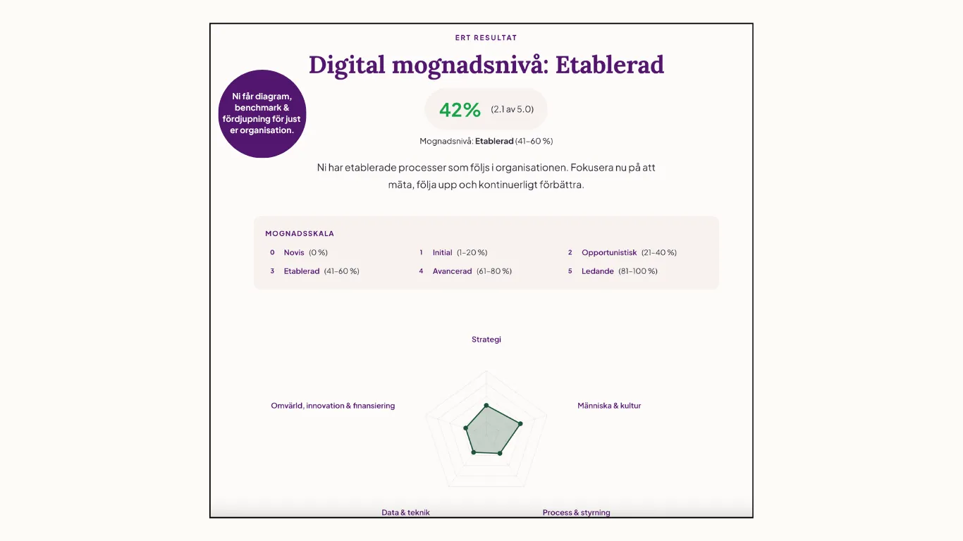 Exempel på resultat från digital mognadsanalys – visar mognadsnivå, procent, mognadsskala och spindeldiagram