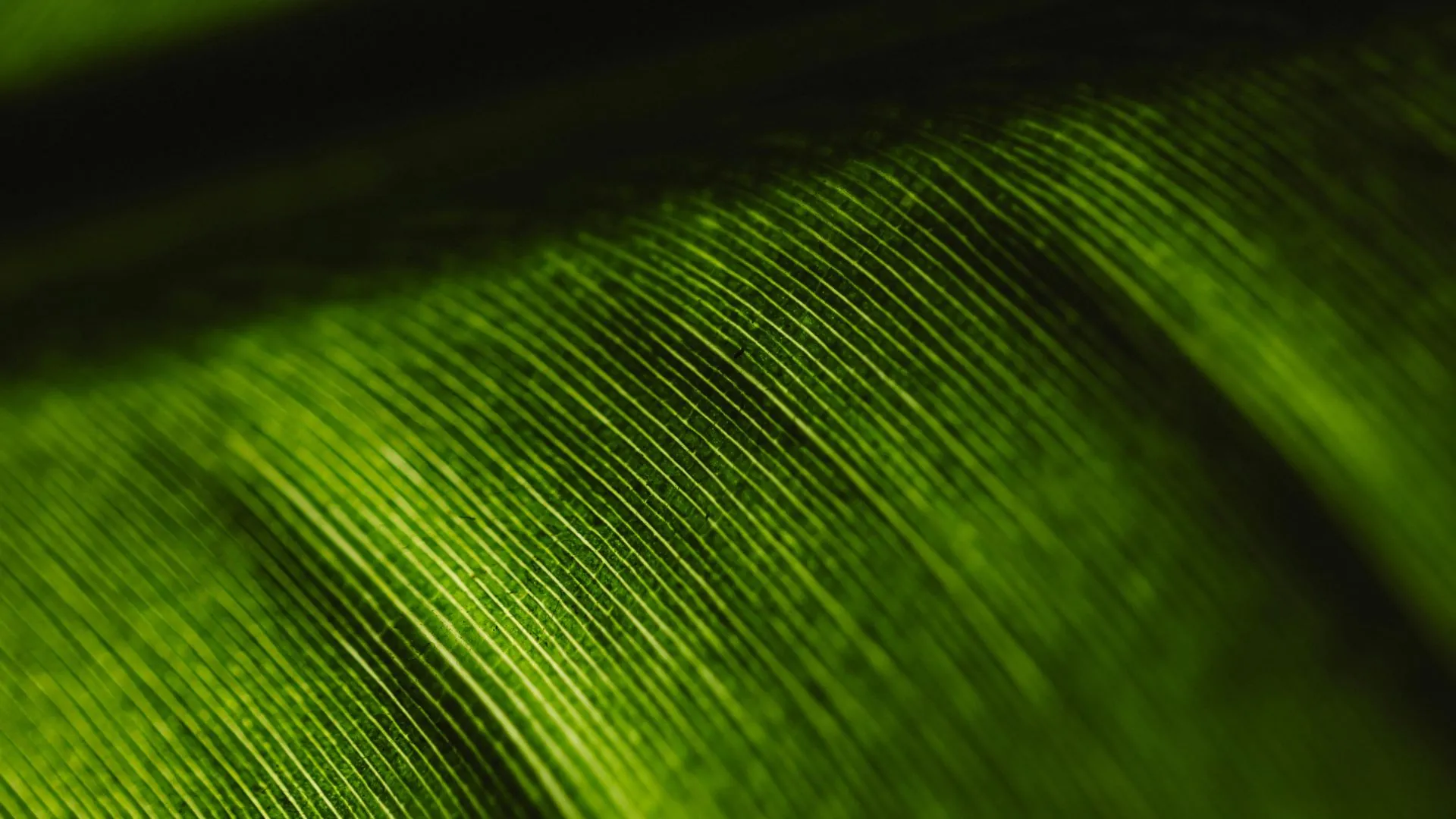 Abstrakt bild av digital strategi med glasbyggnad